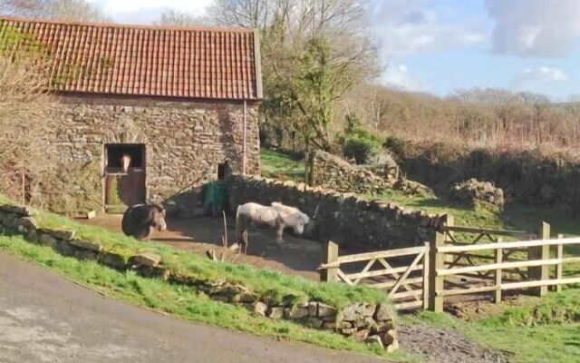 Virvale Barn