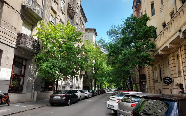 Stylish Homes Downtown Buda