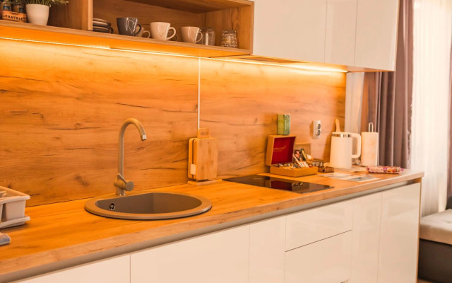 Downtown Apartment Travnik