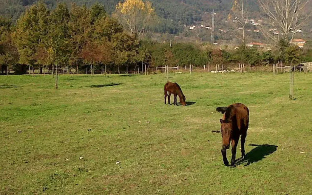 Quinta da Torre de Refoios