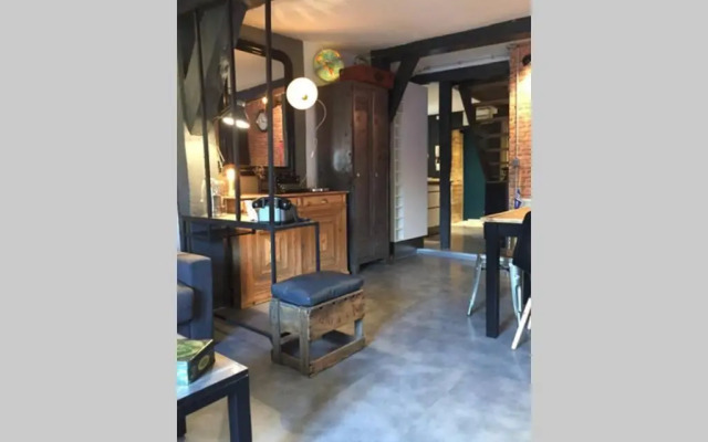 T3 duplex industriel hyper centre ville historique