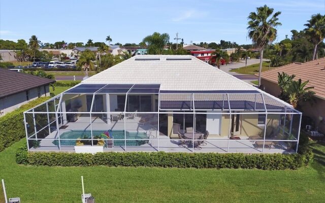 Bald Eagle Home #62266