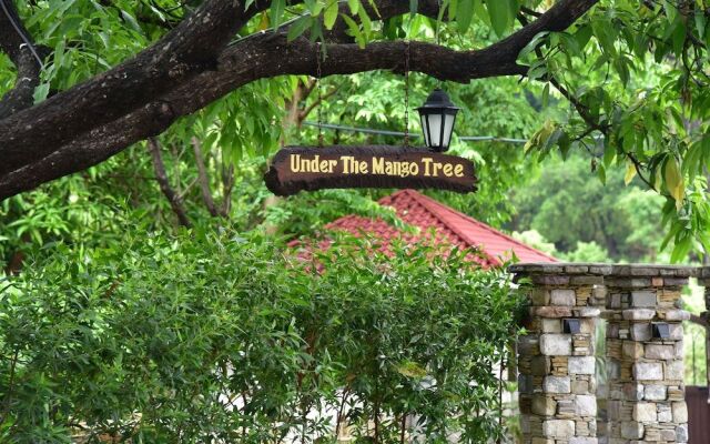 Tree of Life Vanvilas Riveredge