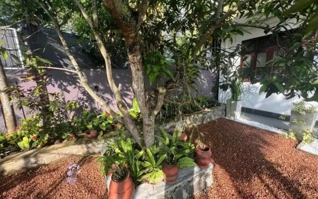 The Vitamin Sea Villa