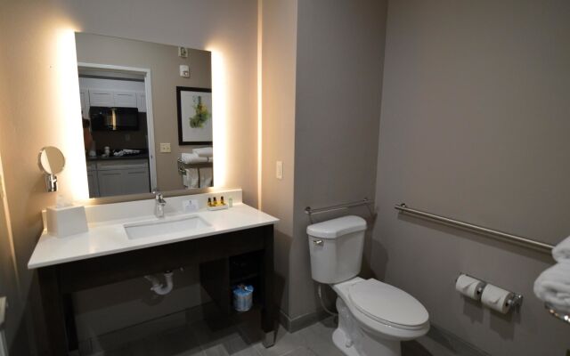 Holiday Inn Gonzales by IHG