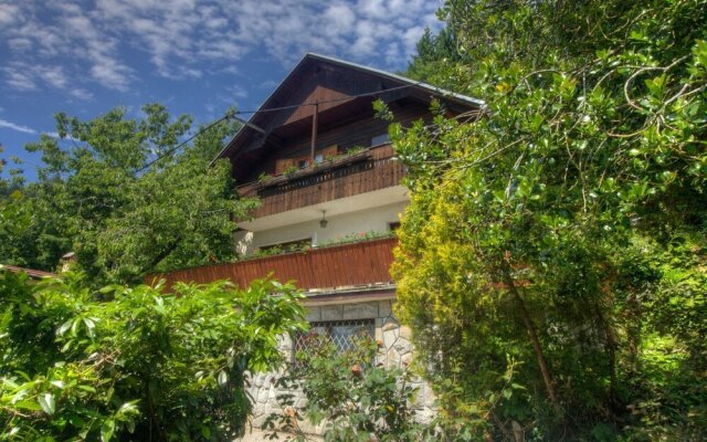 Detached House with Garden, Terrace And Bbq, 300 Meters From Lake Bled