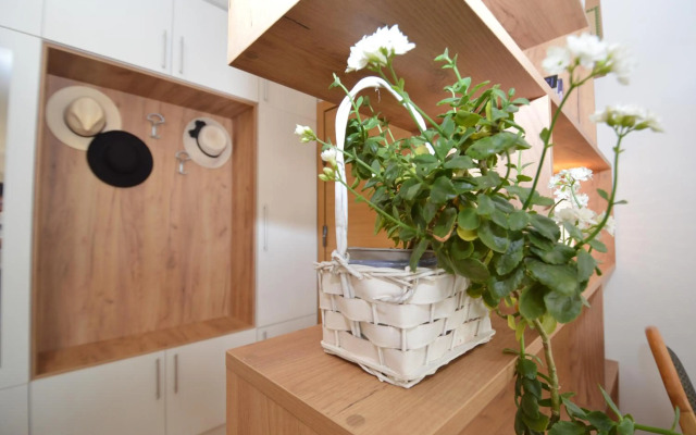 Shine24 - Spacious and bright apartment - NEW