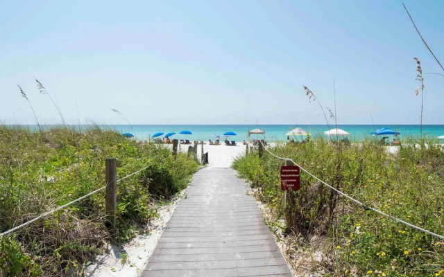 Dunes of Panama #d302