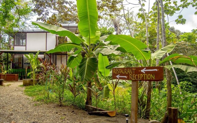 Osa Jungle Hostel