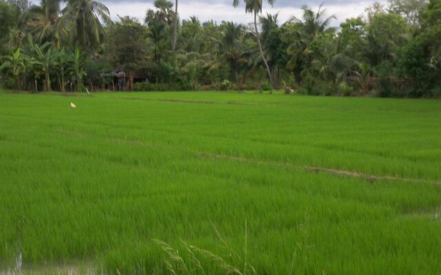 The Green View Yala