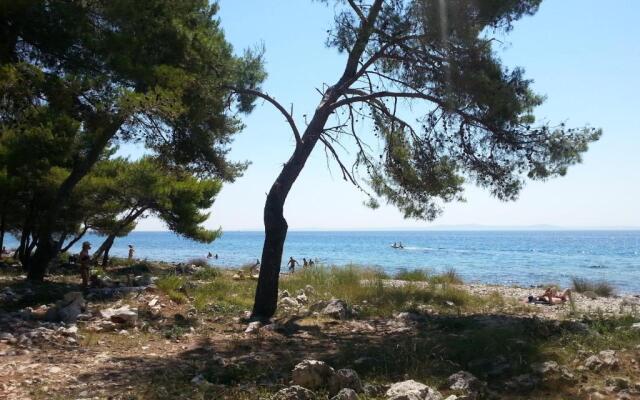 Apartments Miler