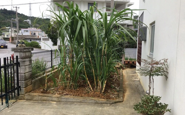 Yuntaku ya