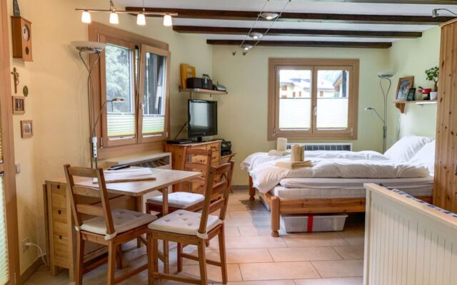 Apartment 346 Silvaplana-Surlej