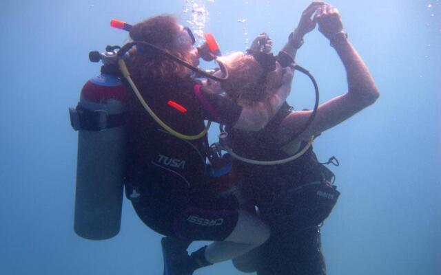 Oonas Dive Club