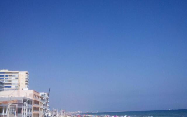Gandia Bellreguard 3000