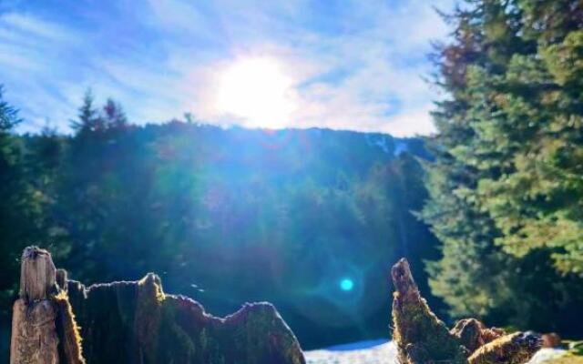 Appartement Chalet à 1400m - Station du Mourtis