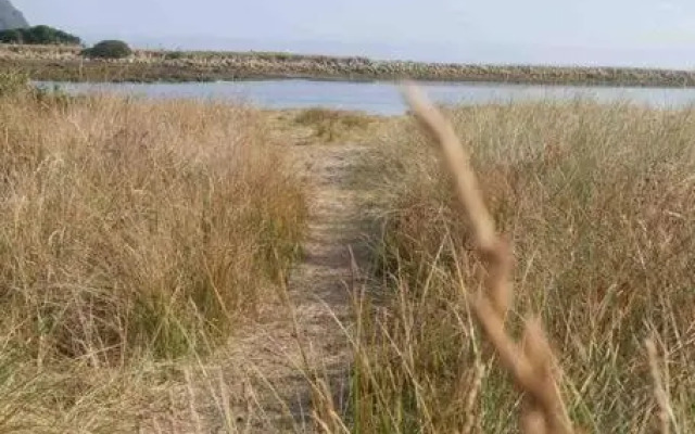 Lylah’s By The Sea