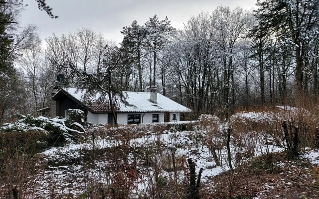 Chalet Des Pins D'autriche