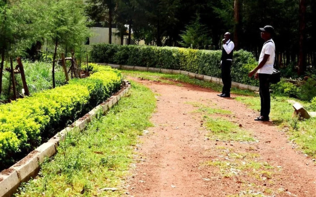Malava Forest Lodge