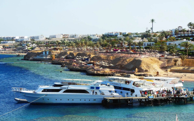 Sharks Bay Oasis