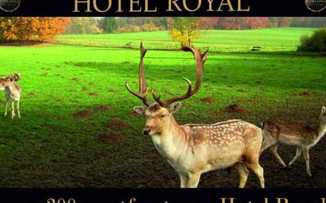 Hotel Royal