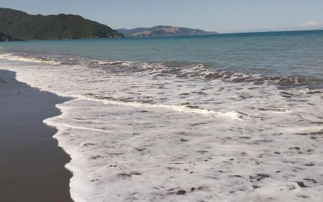 Rarangi Seaview On The Beach