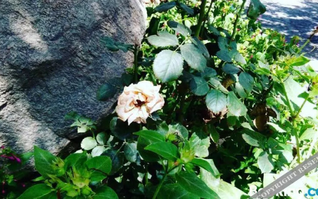 Sadeem Village & Chalet