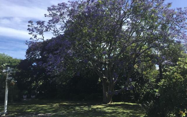 Pa Road B&B Kerikeri NZ