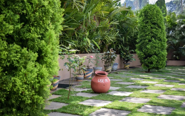 PepperVine