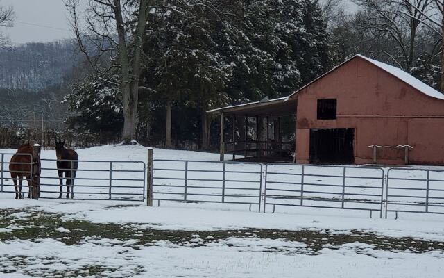 Country Aire Bed & Breakfast