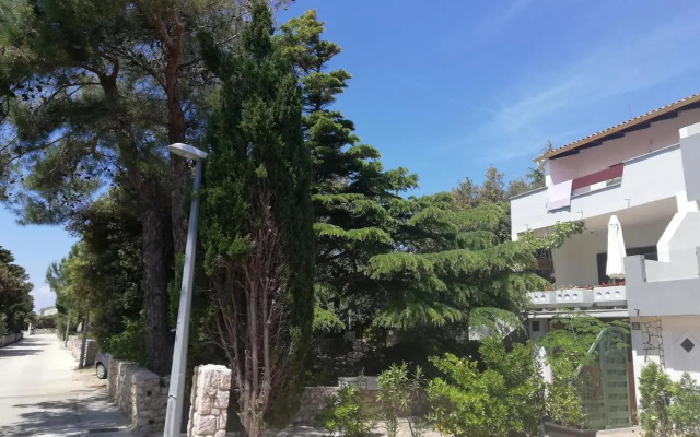 Apartments with a parking space Mandre, Pag - 9420