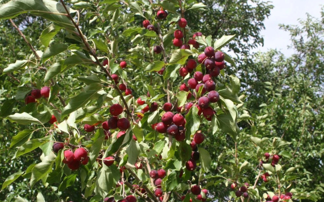 River Stone Inn & Gallery