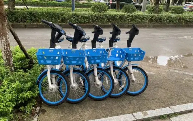 7 Days Premium (Dongxing Dongmeng Road Kouan)