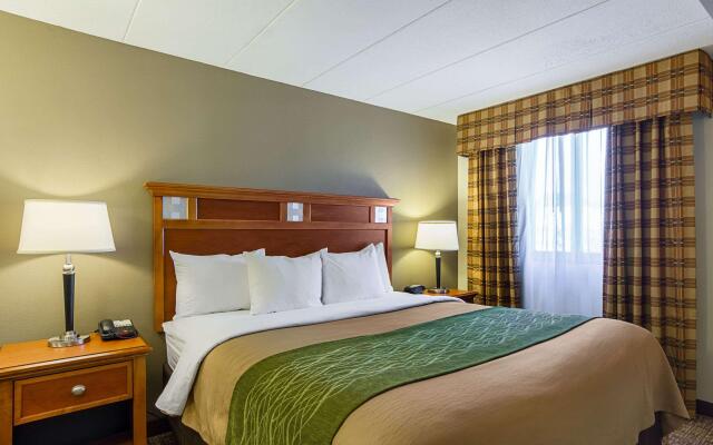 Comfort Inn Herndon - Reston