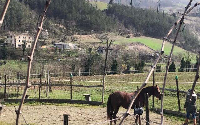 Agriturismo Campo Rosso