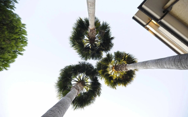 Tortorella Inn Resort