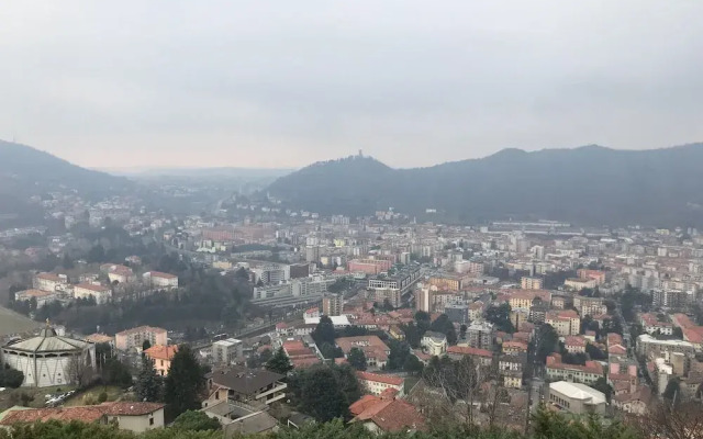 Wonder View