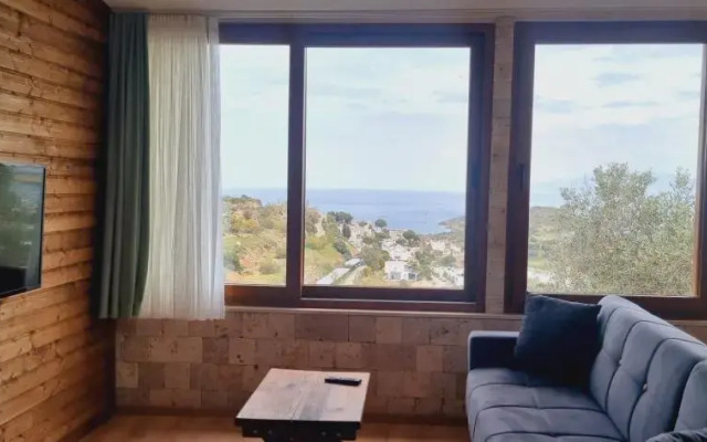 Sole Foça