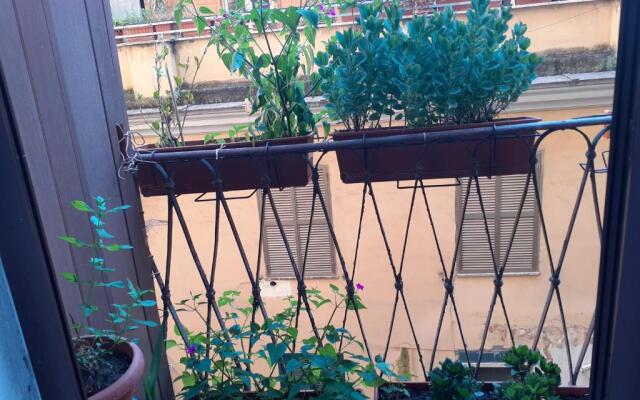 Napoleone Luxury Home