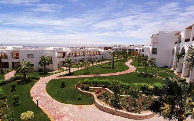 Albatros Palace Sharm - Families and couples only