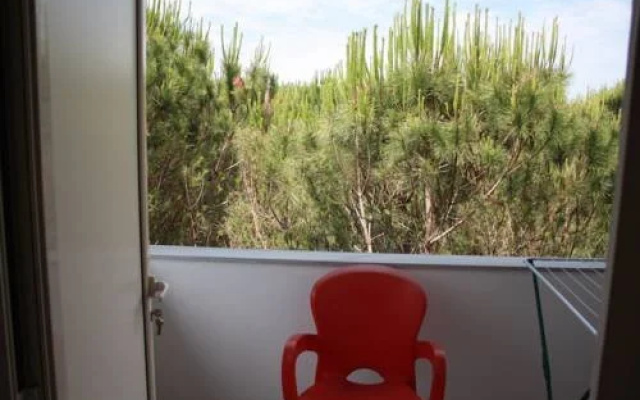 Hotel Princi i Vogel