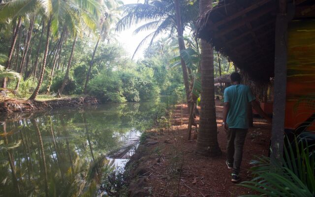 Palm Trees Ayurvedic Heritage