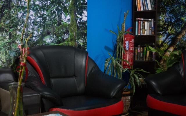 Traveller Bunker Hostel 1