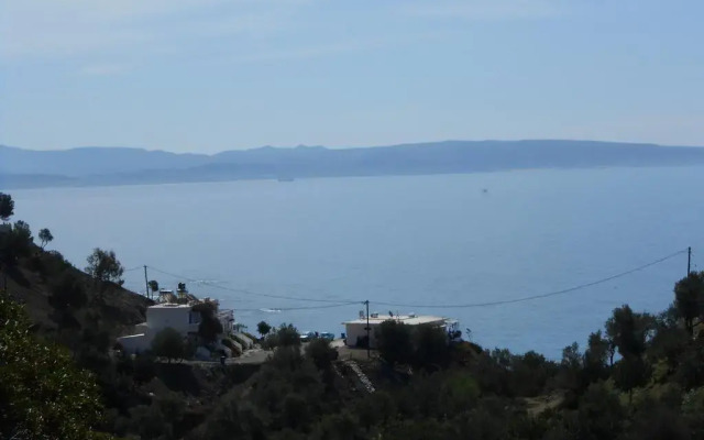 Nikos Place