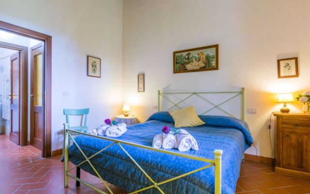 Giuggiolo - Giuggiolo 3