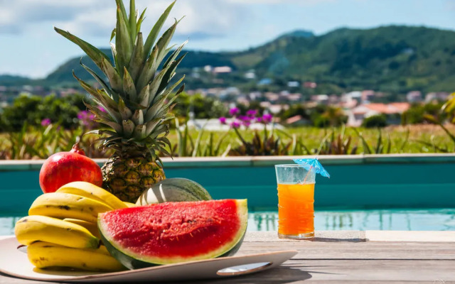 Palm Villas Martinique