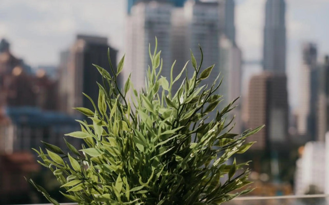 Rex Ollie @ 231 TR Suite