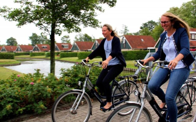 HVZ Orchis Wellness 6p