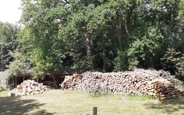 Drentse bungalow in natuur en rust