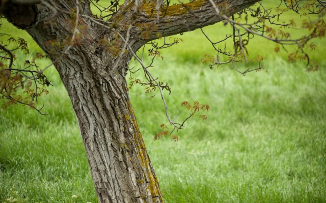 Le Alcove Luxury Resort nei Trulli